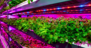 vertical farming