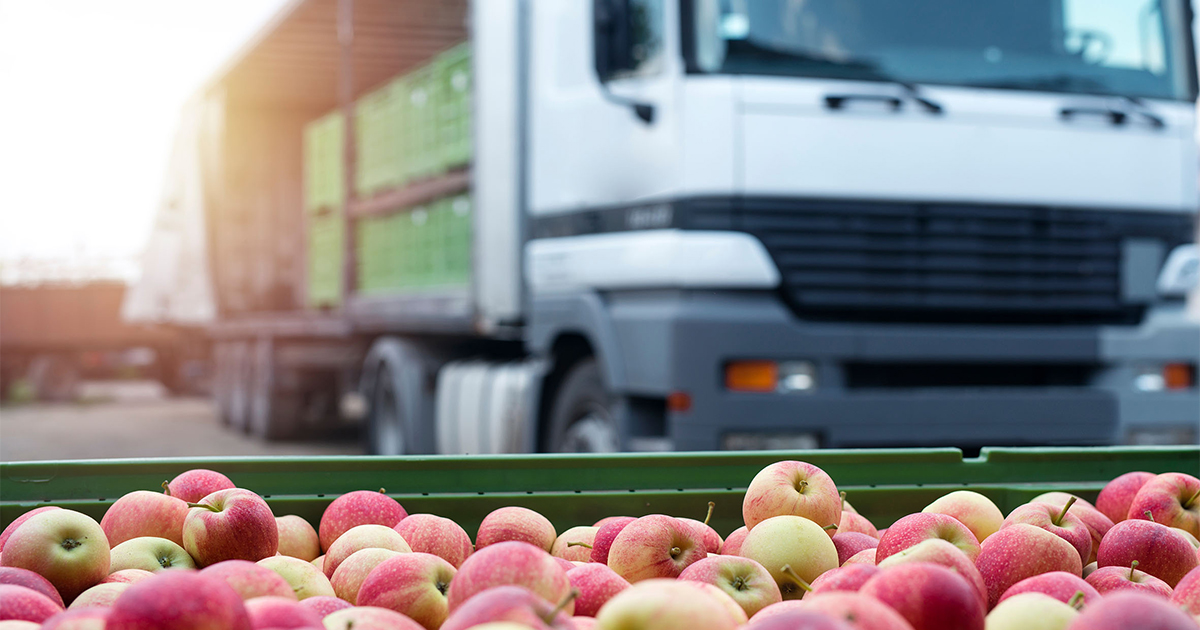 New Zealand, Dubai to trial paperless food export certification