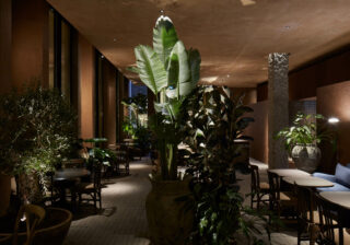 Terra Jumeirah